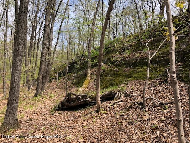 Tbd Lily Lake Road Highland, NY 12528 - Photo 5 of 31 Pic 31