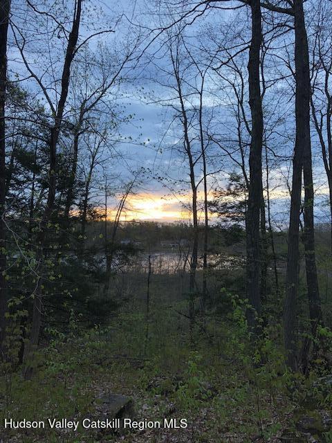 Tbd Lily Lake Road Highland, NY 12528 - Photo 6 of 31 a view of outdoor space