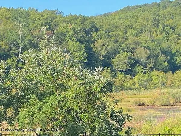 a view of a garden with an trees