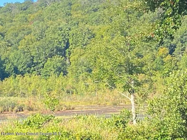 a view of a yard with large trees