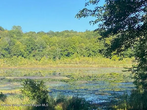 a view of a lake with houses in the background