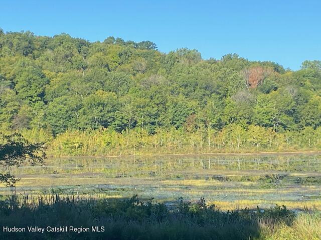 Tbd Lily Lake Road Highland, NY 12528 - Photo 10 of 31 a view of an ocean from a yard