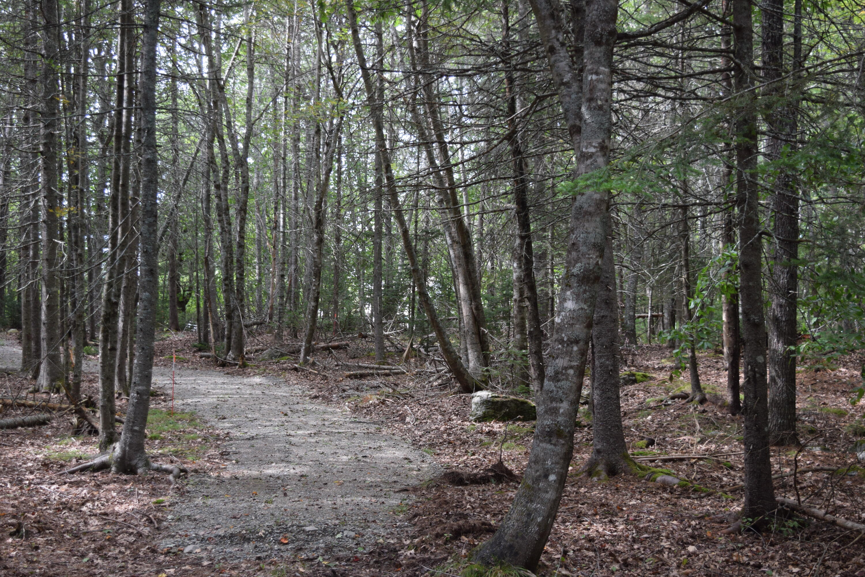 0 Christian Ridge Road Ellsworth, ME 04605 - Photo 14 of 16 DSC_0106