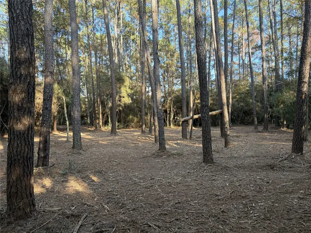 a view of outdoor space with lots of trees