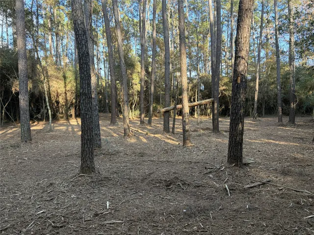 a view of outdoor space with trees