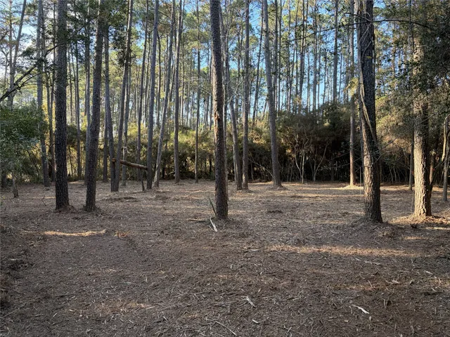 a view of outdoor space with trees
