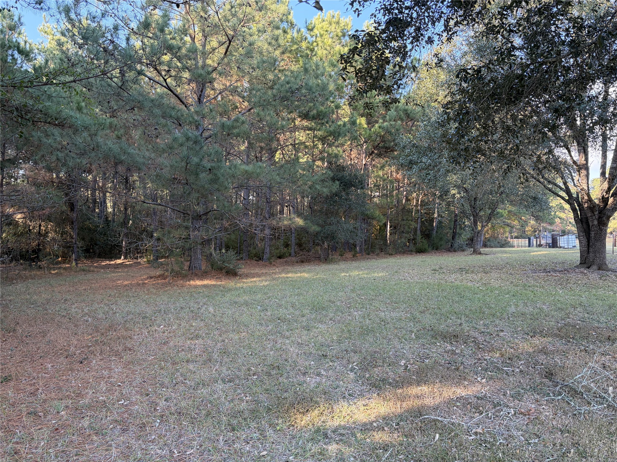 28655 Joseph Road Hockley, TX 77447 - Photo 18 of 21 a view of a yard with a tree