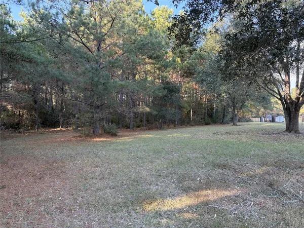a view of a yard with a tree