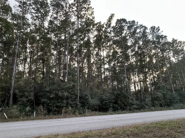 a view of mountain view with lots of trees