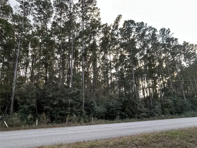 a view of mountain view with lots of trees
