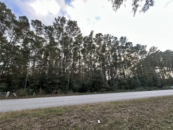 a view of a yard with large trees