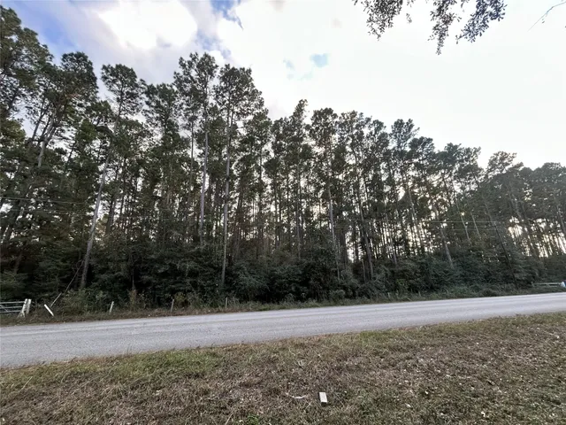 a view of a yard with large trees