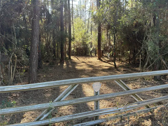 a view of outdoor space