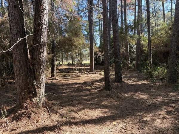 a view of road with trees
