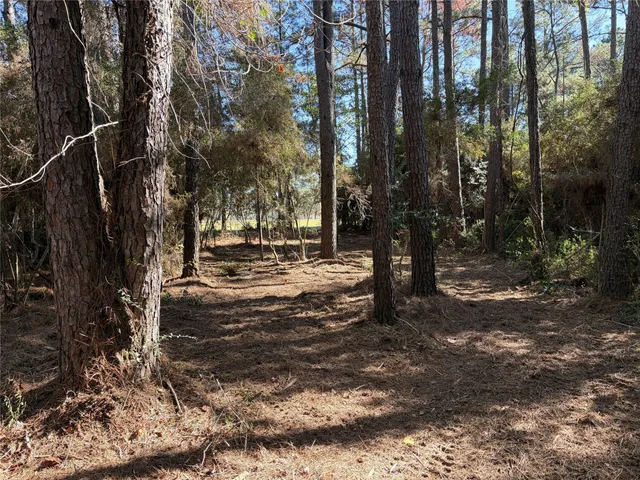 a view of road with trees