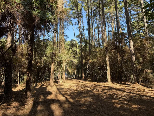 a view of outdoor space with trees