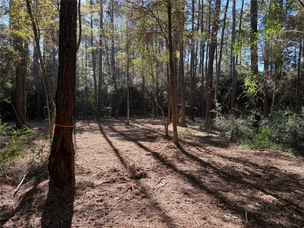 a view of outdoor space with trees