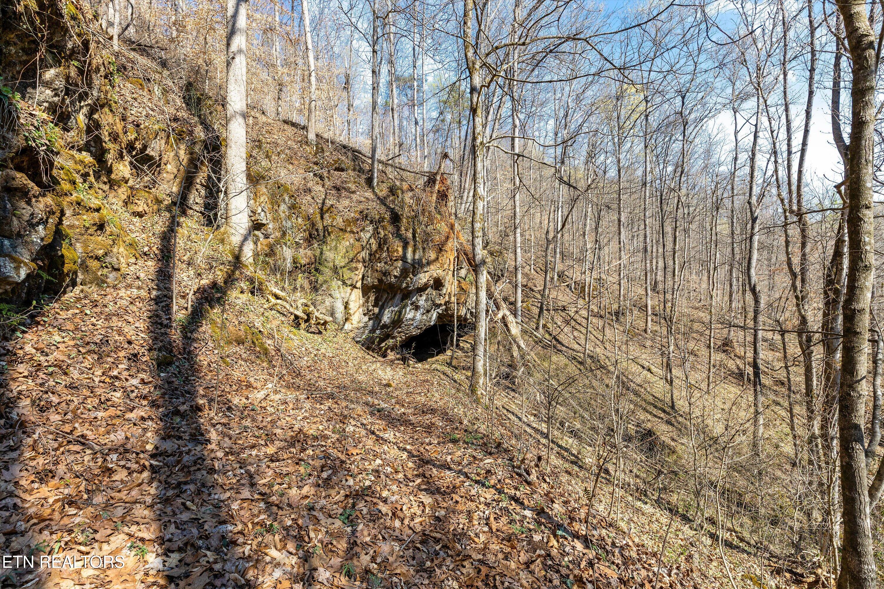 384 Stephens Road Rocky Top, TN 37769 - Photo 37 of 59 IMG_9817