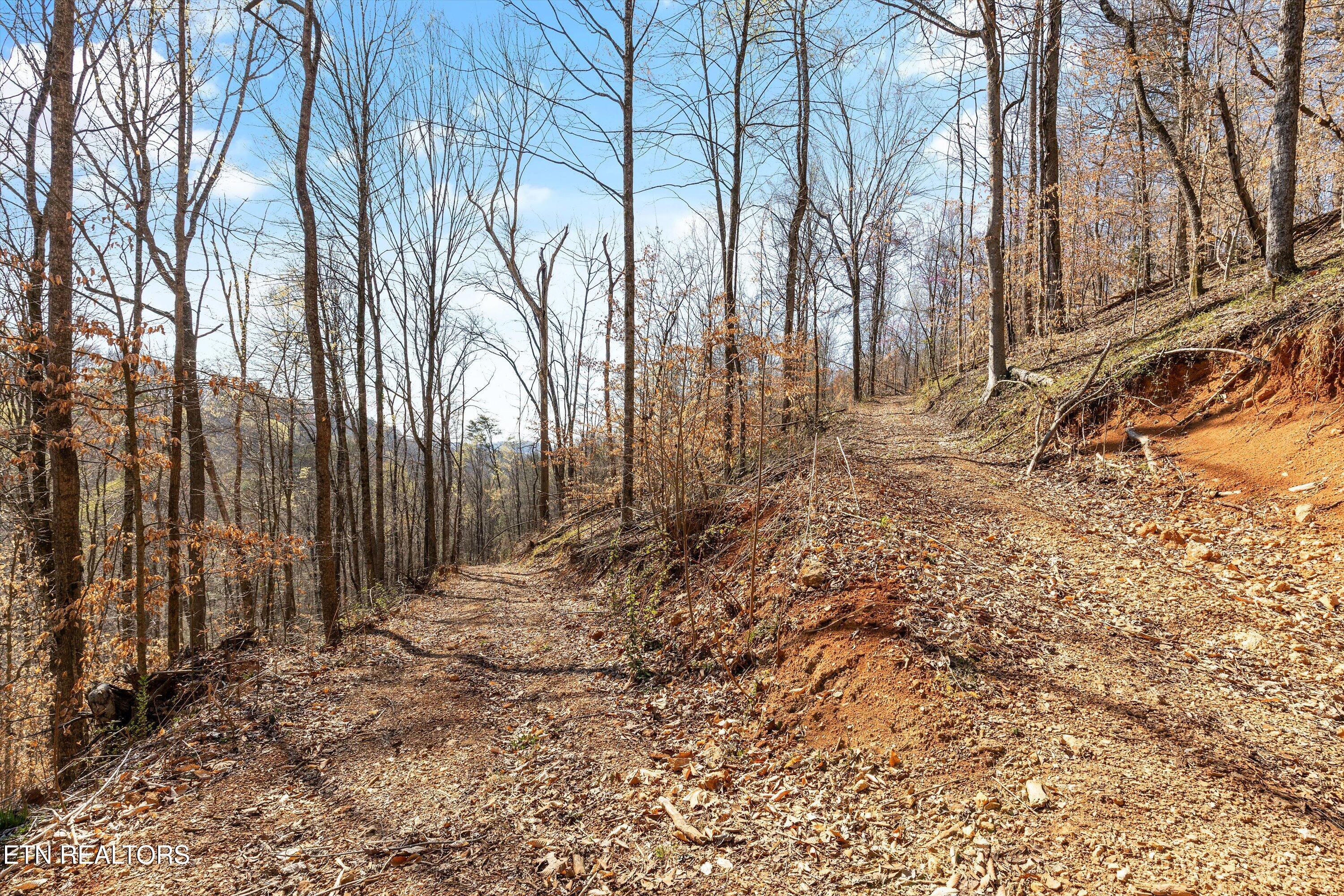 384 Stephens Road Rocky Top, TN 37769 - Photo 38 of 59 IMG_9819