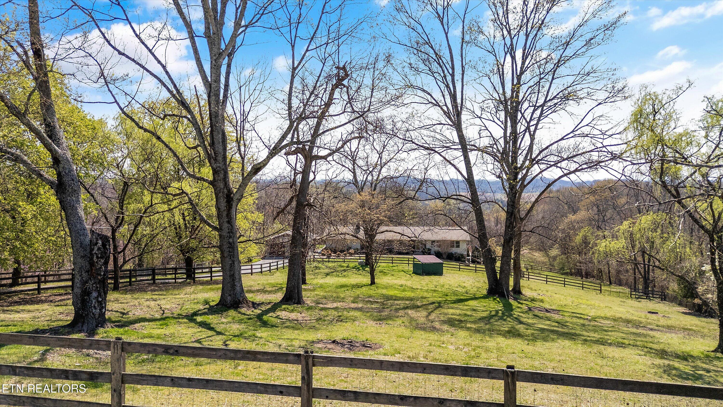 384 Stephens Road Rocky Top, TN 37769 - Photo 39 of 59 IMG_9824