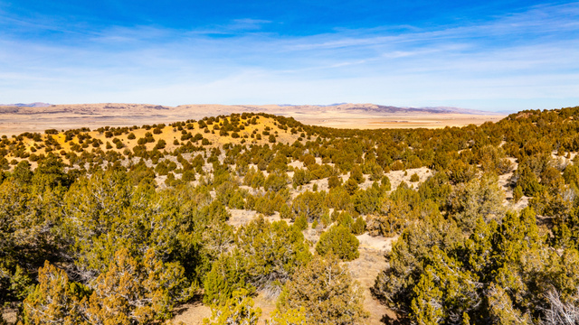 0 County Road 28 Levan, UT 84639 - Photo 95 of 207