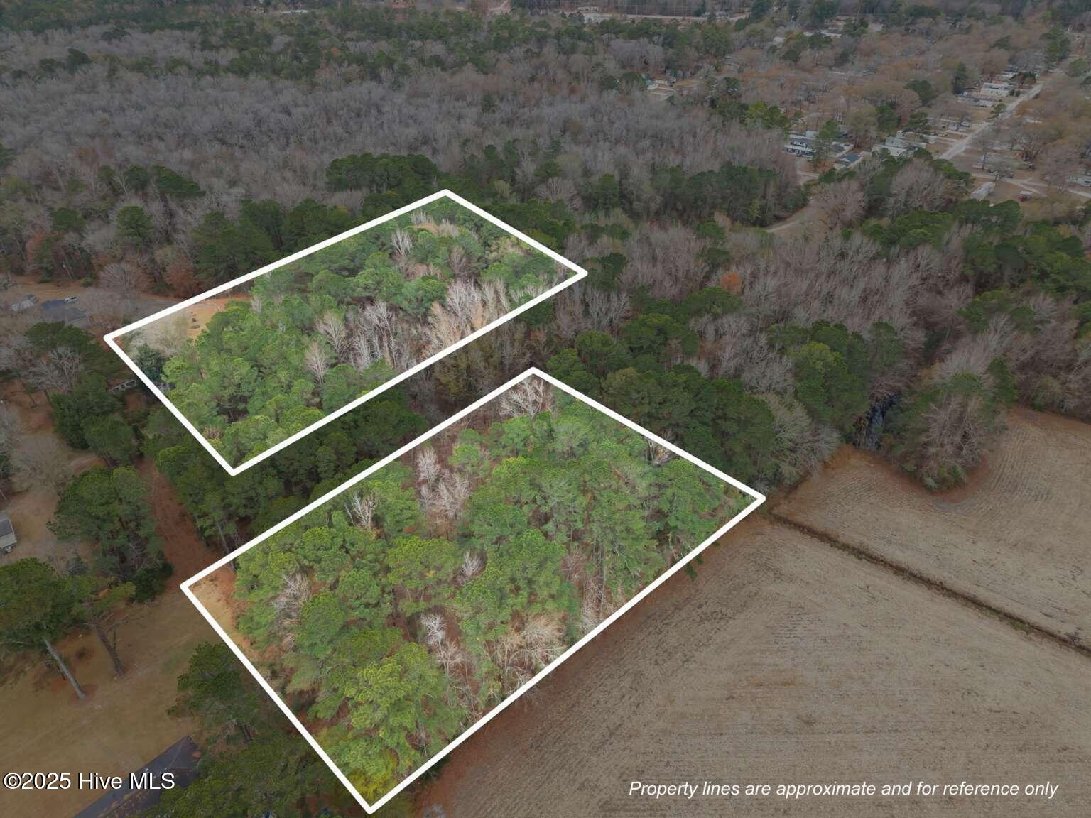 0 Off Sr 1311 Washington, NC 27889 - Photo 2 of 9 Manasa.1