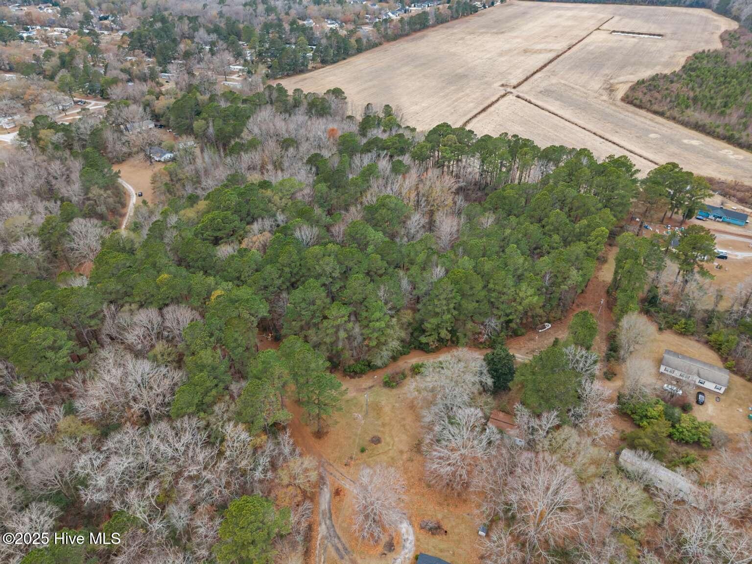 0 Off Sr 1311 Washington, NC 27889 - Photo 3 of 9 Manasa.2