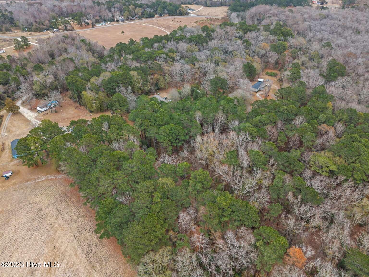 0 Off Sr 1311 Washington, NC 27889 - Photo 4 of 9 Manasa.3
