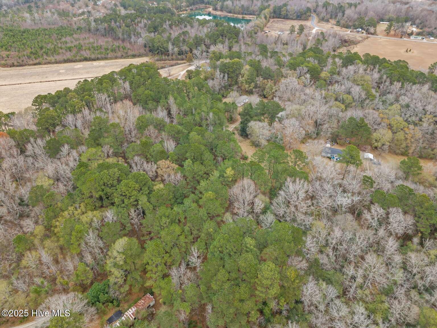 0 Off Sr 1311 Washington, NC 27889 - Photo 5 of 9 Manasa.4