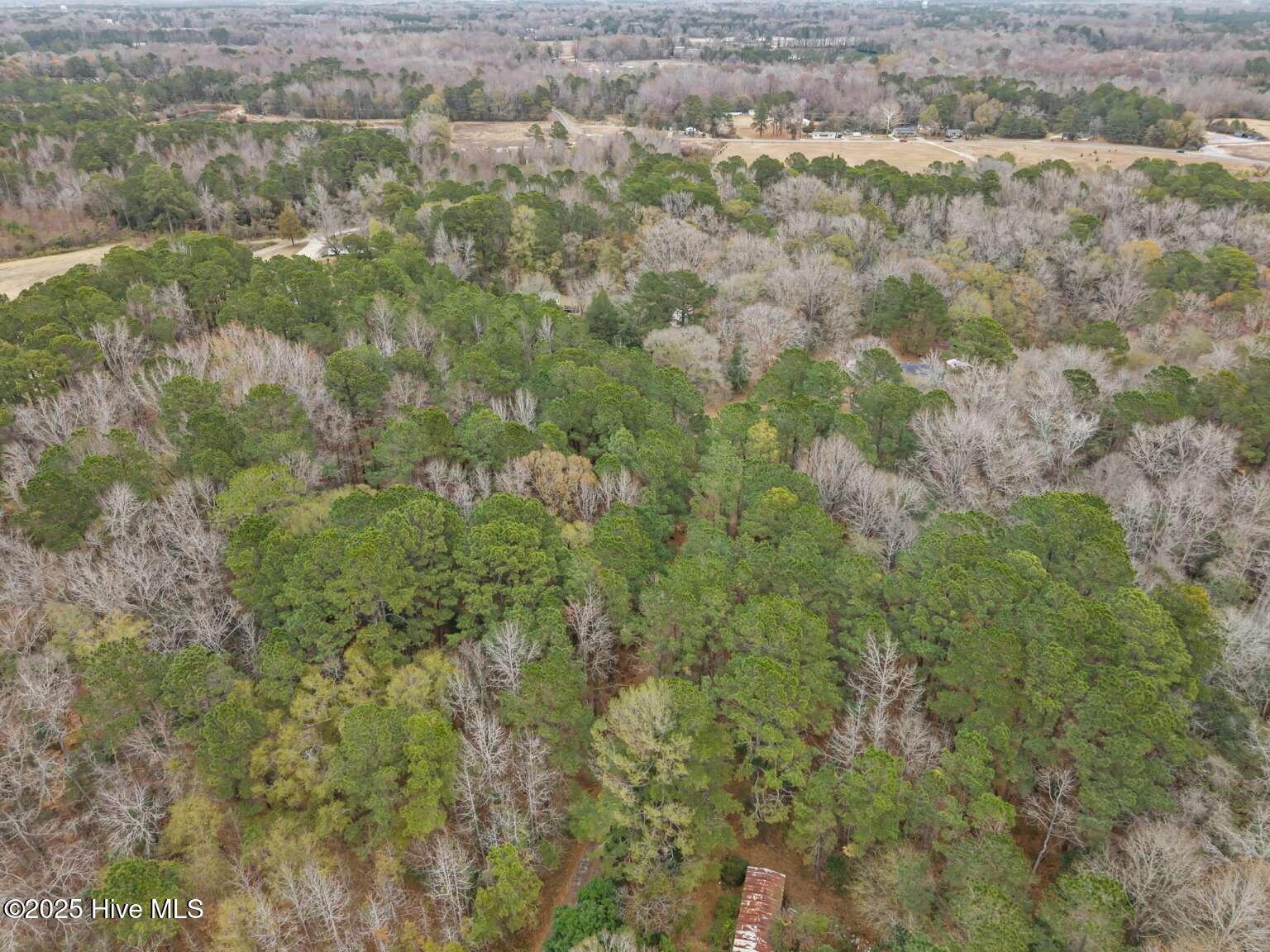 0 Off Sr 1311 Washington, NC 27889 - Photo 6 of 9 Manasa.5