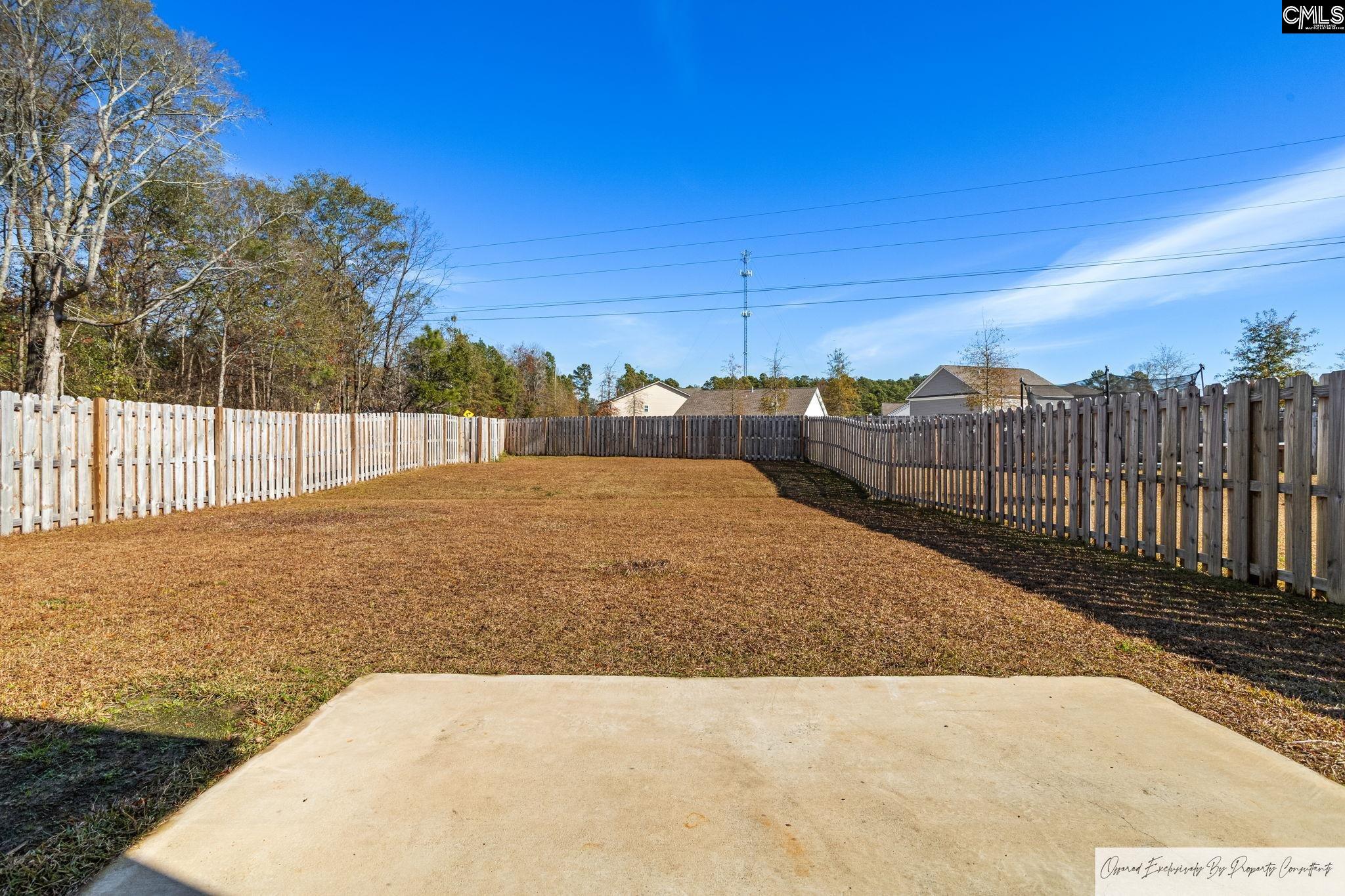 184 Wahoo Circle Irmo, SC 29063 - Photo 28 of 30