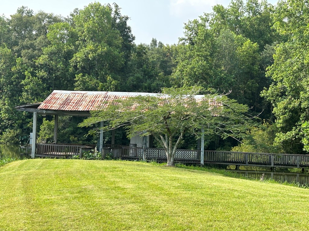 6836 North Co Road Midland City, AL 36350 - Photo 4 of 13