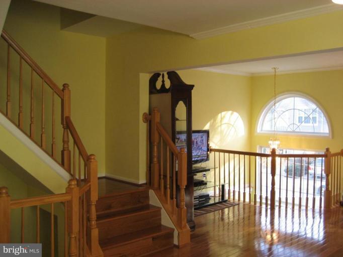 3012 Spice Bush Road Laurel, MD 20724 - Photo 13 of 29 Other #3