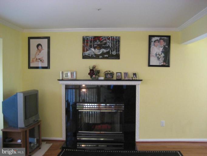 3012 Spice Bush Road Laurel, MD 20724 - Photo 20 of 29 Fireplace