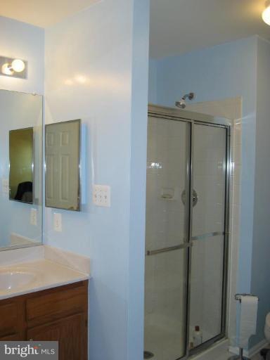 3012 Spice Bush Road Laurel, MD 20724 - Photo 25 of 29 Master Bath #2