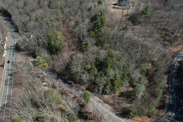 a view of a forest with lots of trees