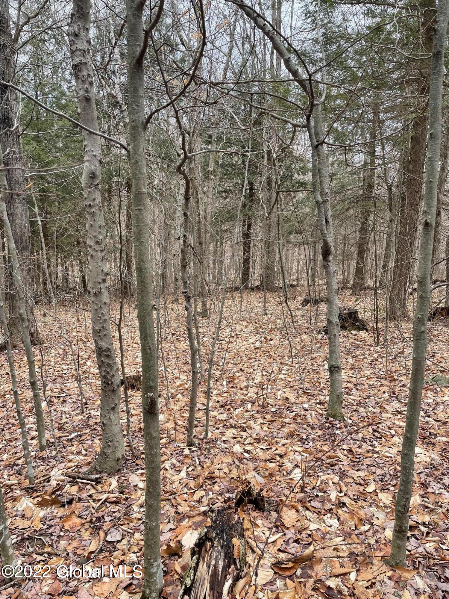 229 Anderson Road Middleburgh, NY 12122 - Photo 25 of 40 25