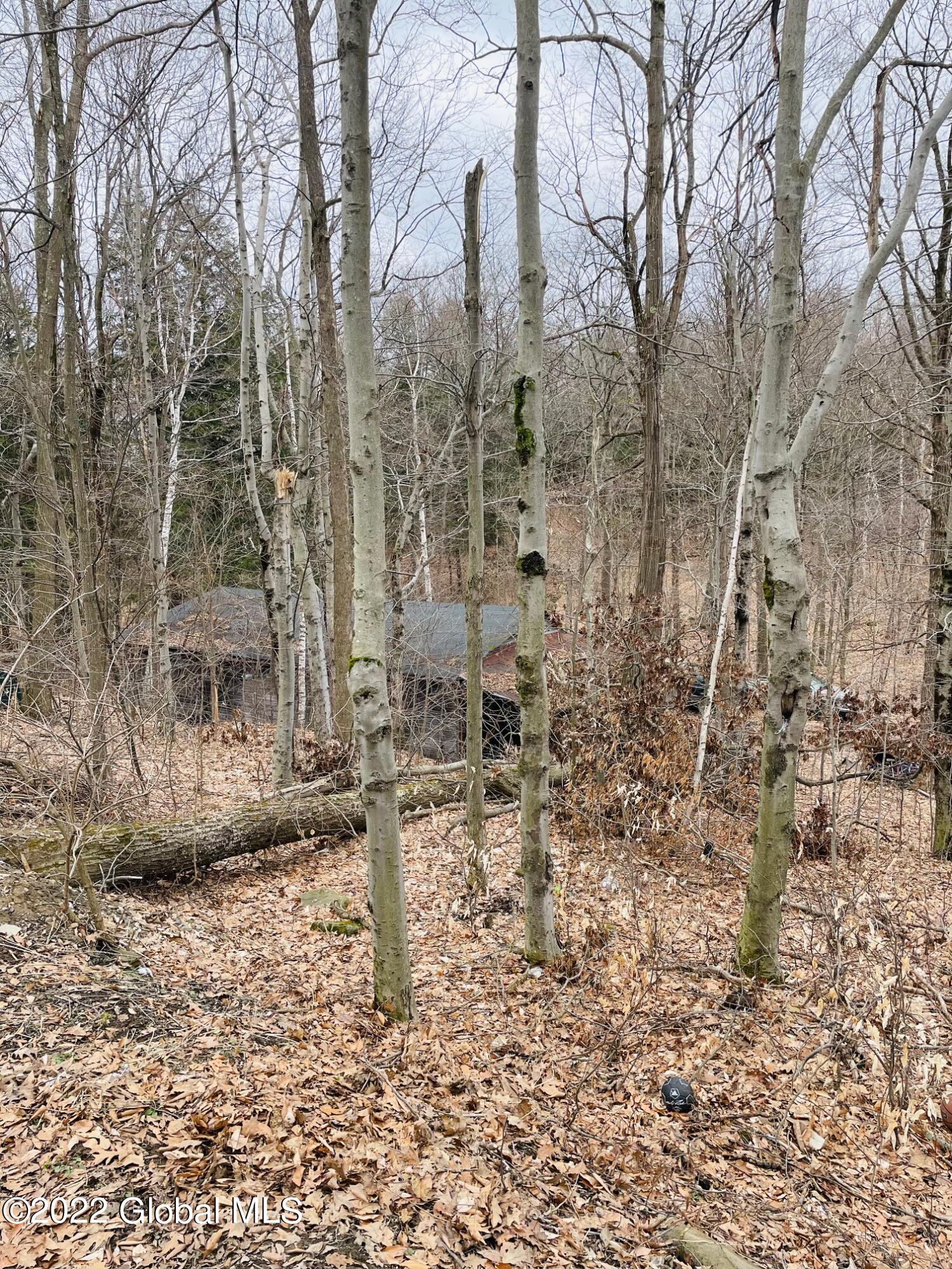 229 Anderson Road Middleburgh, NY 12122 - Photo 26 of 40 26