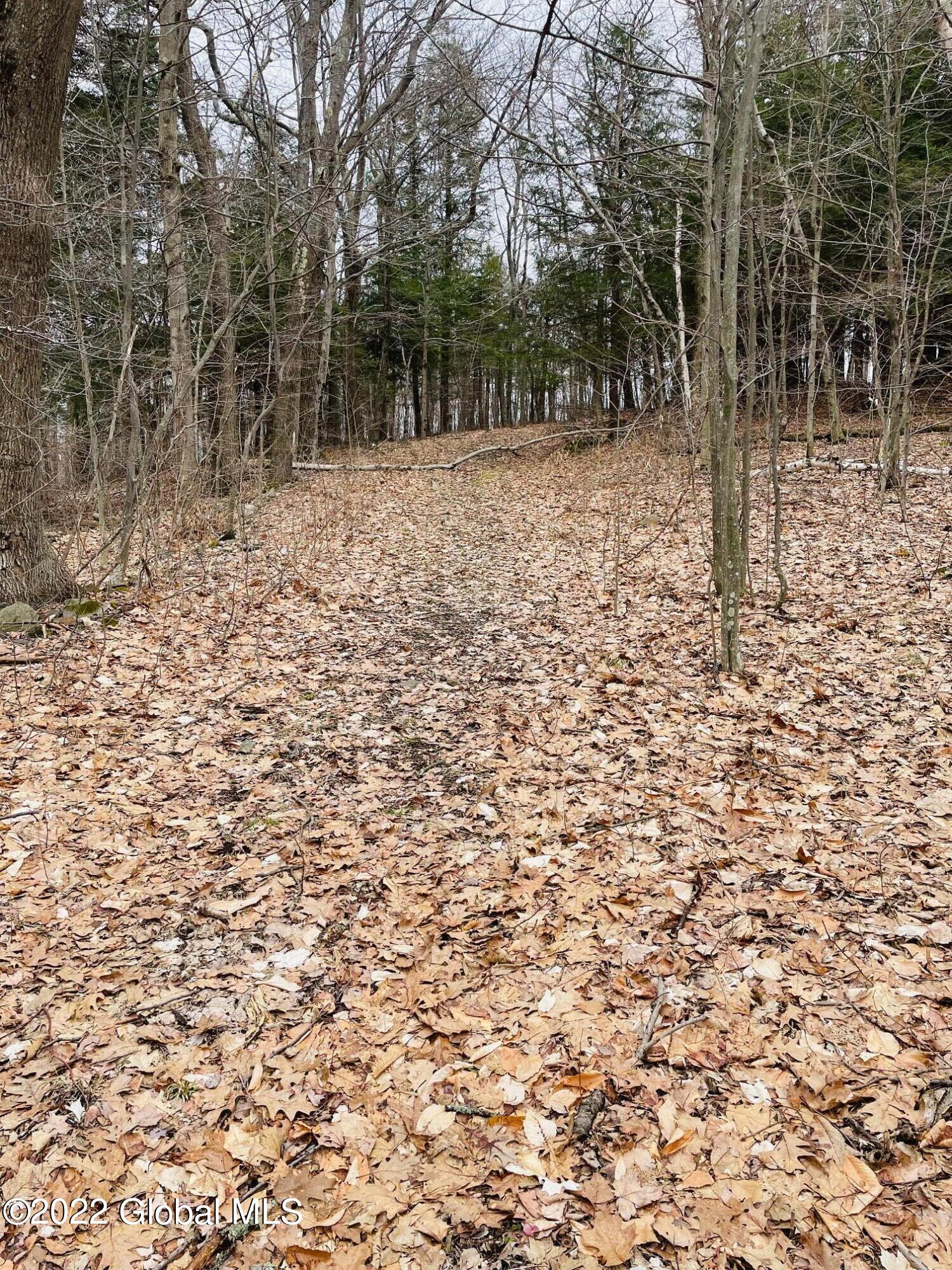 229 Anderson Road Middleburgh, NY 12122 - Photo 33 of 40 33
