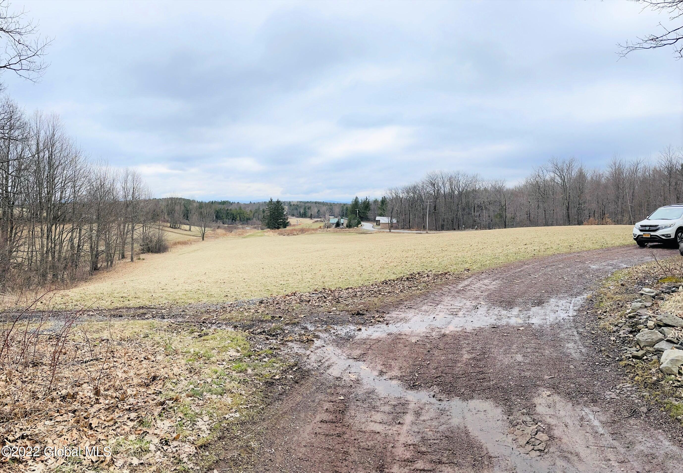 229 Anderson Road Middleburgh, NY 12122 - Photo 39 of 40 39