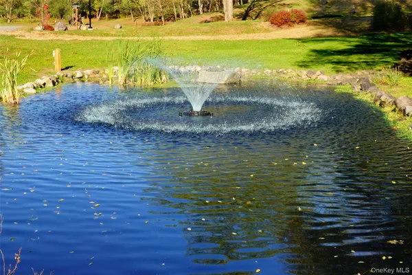 a view of a lake with a yard