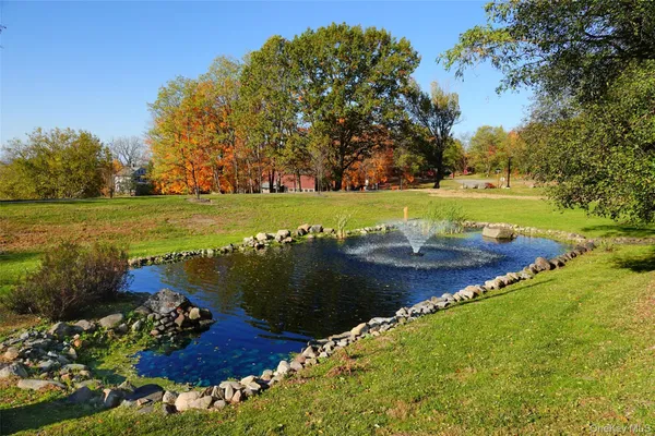 a swimming pool with lots of tress in front of it