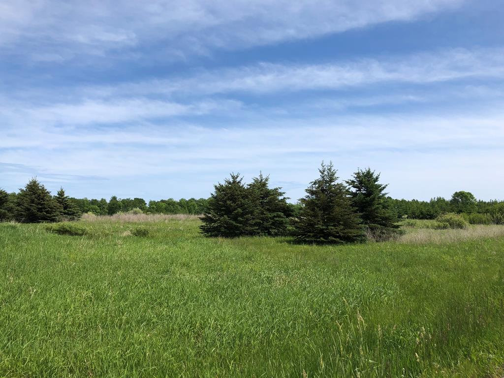 Lot 1 County Road Algoma, WI 54201 - Photo 6 of 13