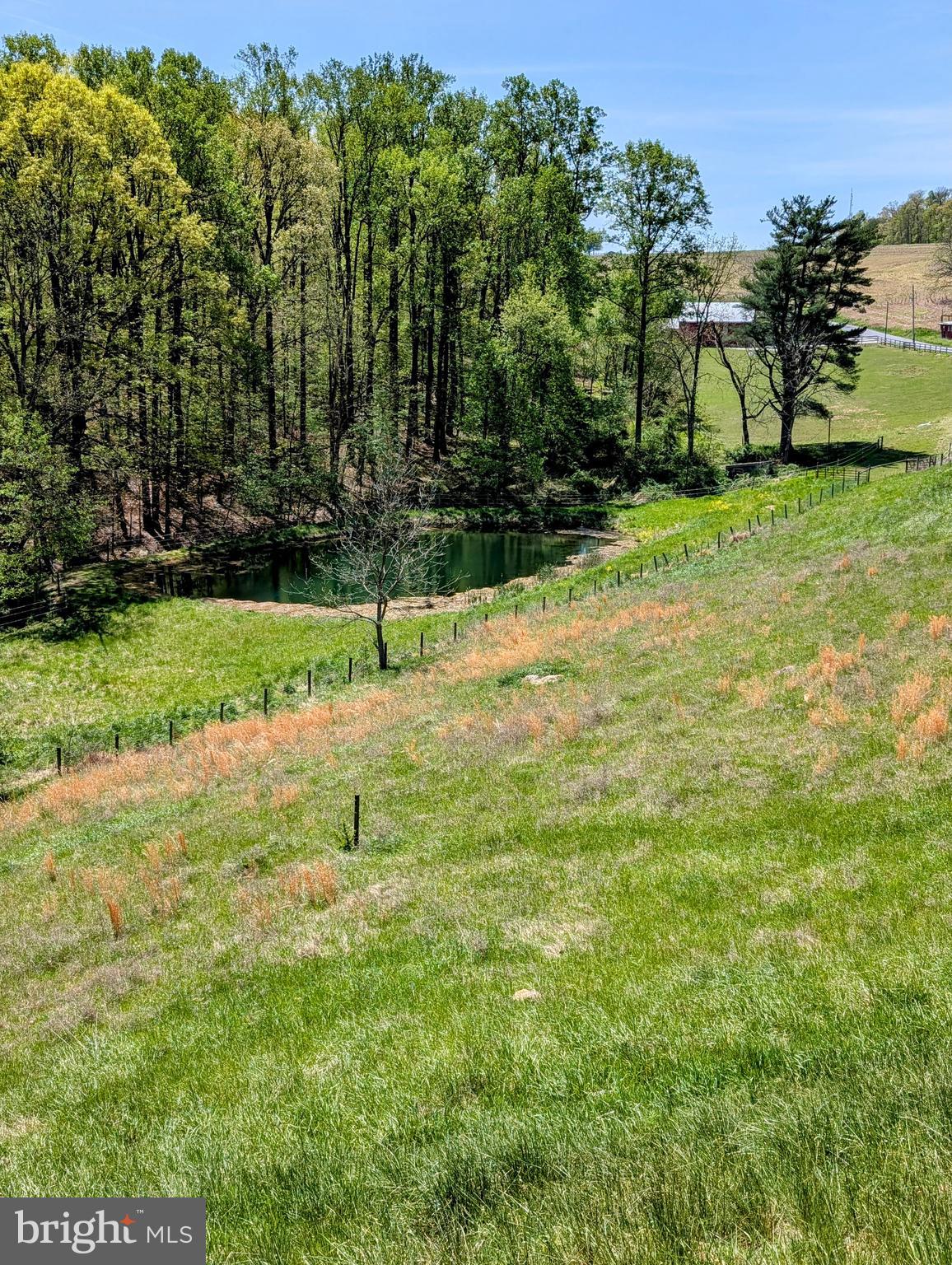 12706 High Point Road Felton, PA 17322 - Photo 54 of 56 a view of park with large trees