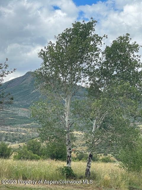 809 Boulder Drive Craig, CO 81625 - Photo 2 of 24 IMG_5290