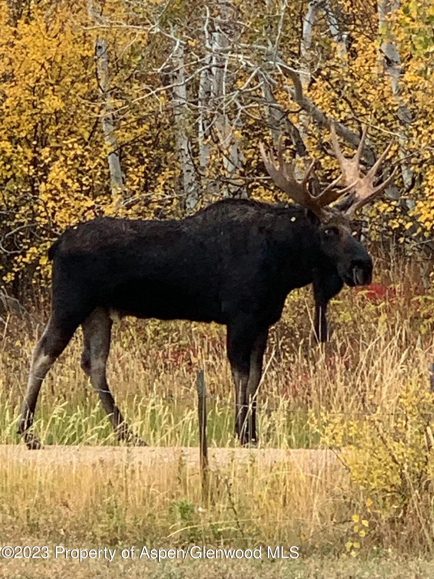 809 Boulder Drive Craig, CO 81625 - Photo 22 of 24 image0 (1)