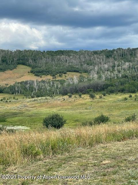 809 Boulder Drive Craig, CO 81625 - Photo 3 of 24 IMG_5297