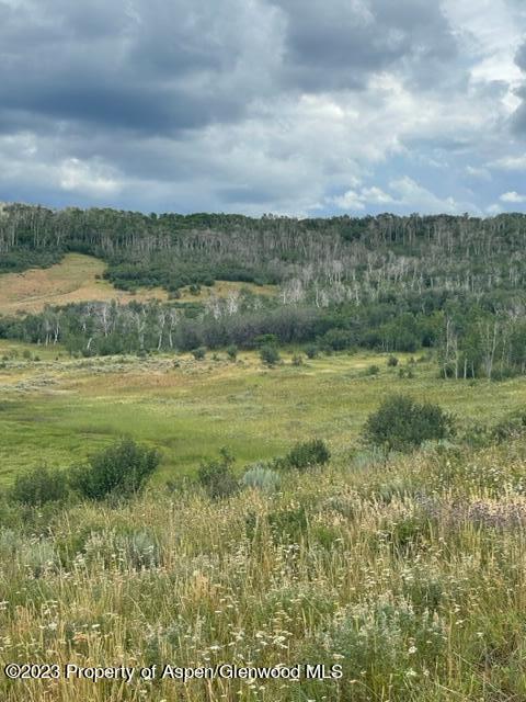 809 Boulder Drive Craig, CO 81625 - Photo 4 of 24 IMG_5306