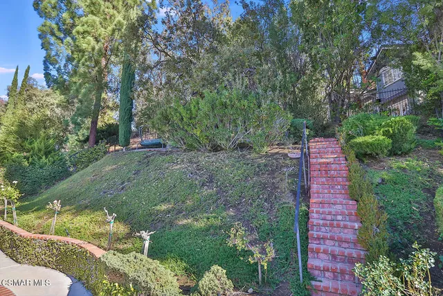 a view of a backyard with potted plants and large tree