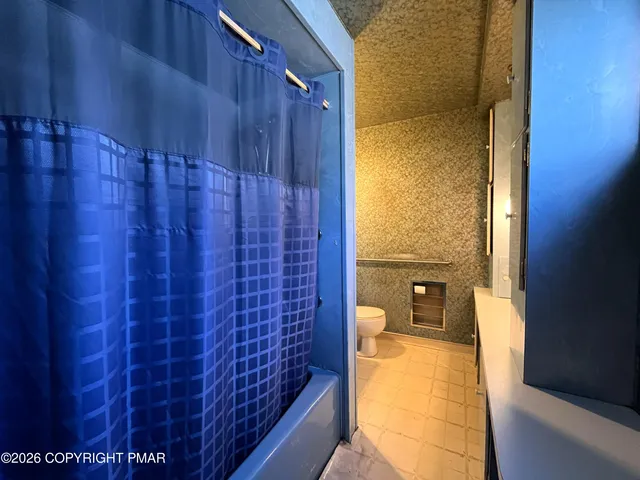 a bathroom with a shower and a toilet